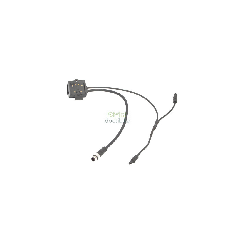 Expositor para bicicleta Evo BH Bikes