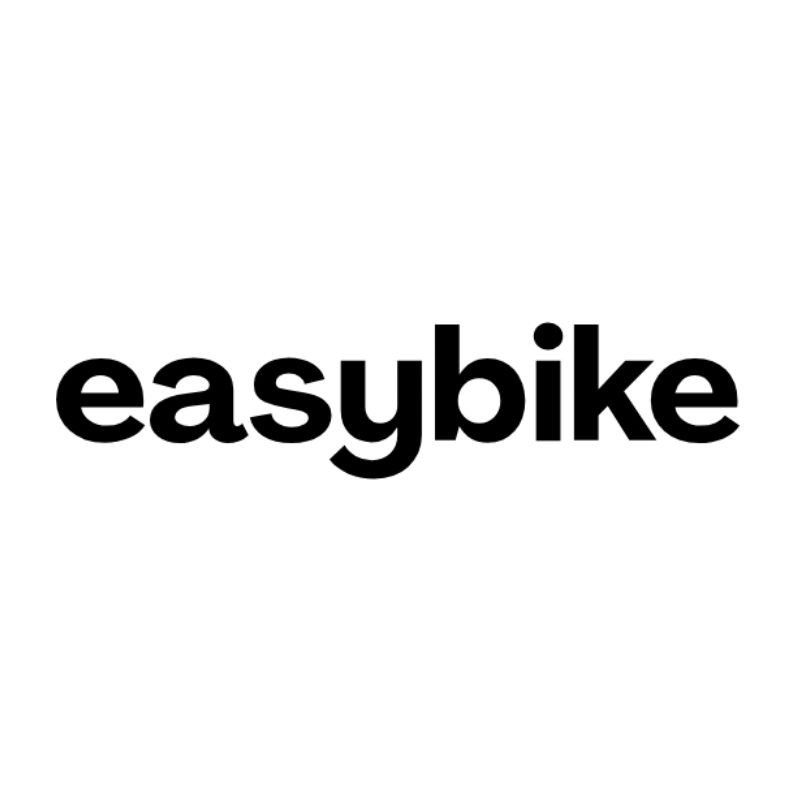 Reconditioning Easy Bike EasyMax Premium