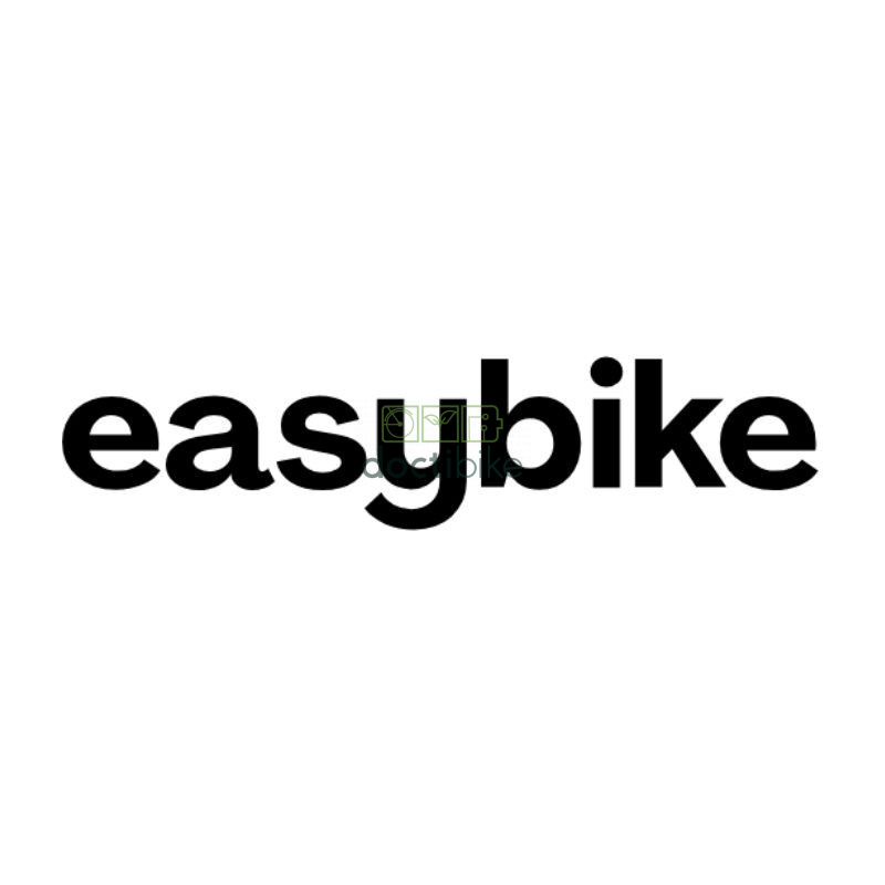Reconditionnement Easy Bike EasyFold N3