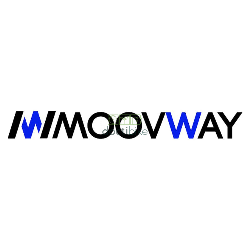 Ristrutturazione di MoovWay Rider