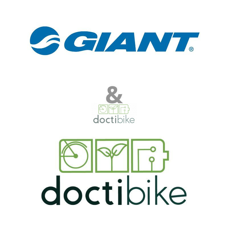 Wiederaufarbeitung  Giant Full-E+ 2