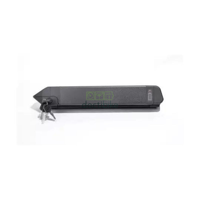 Batteria Phylion DT12 CAN BUS - 36V 14Ah