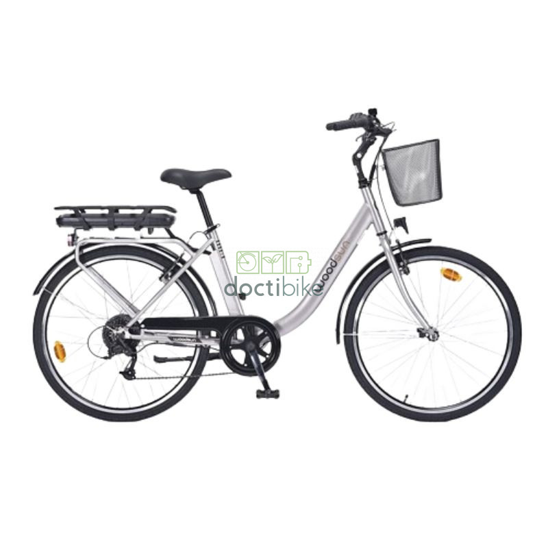 Woodsun E-Phoenix fietsaccu - 36V 8.7Ah tot 14Ah