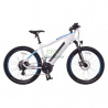 Rekonditionierung Fahrradbatterie NCM Bikes Moscow M3 - 48V 8.7 bis 17.5Ah