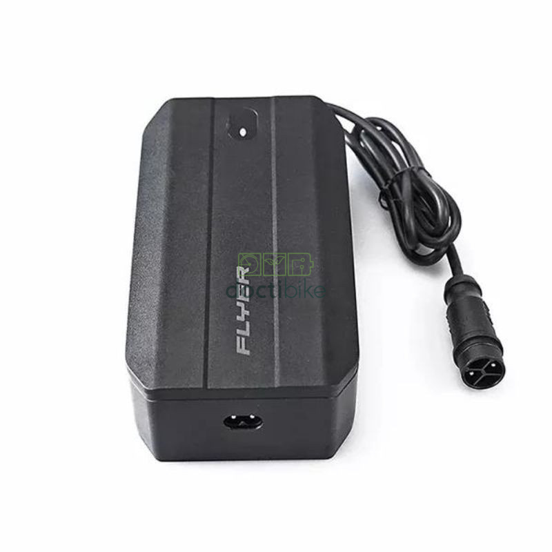 Caricabatterie Flyer per batteria FIB 810 FIT - 48V 5A