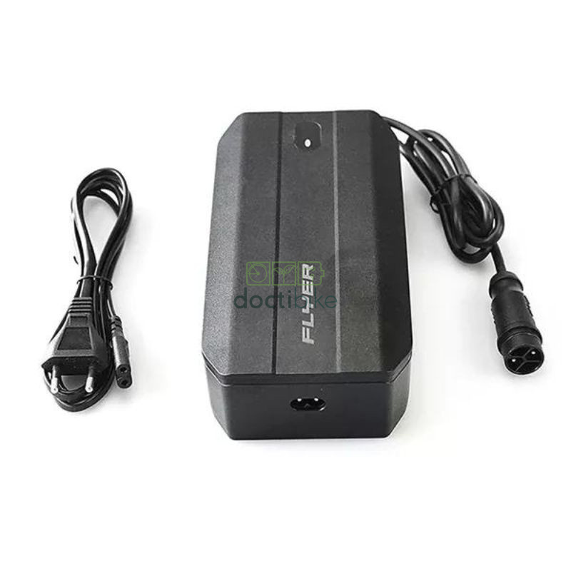 Caricabatterie Flyer per batteria FIB 810 FIT - 48V 5A