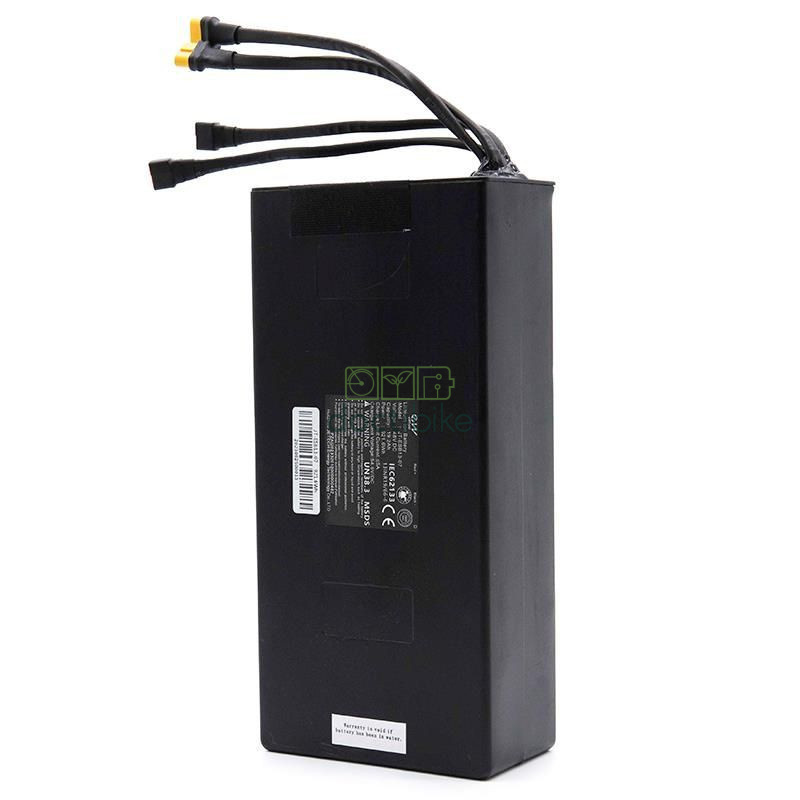 Smartgyro Speedway scooter battery - 48V 19.2Ah