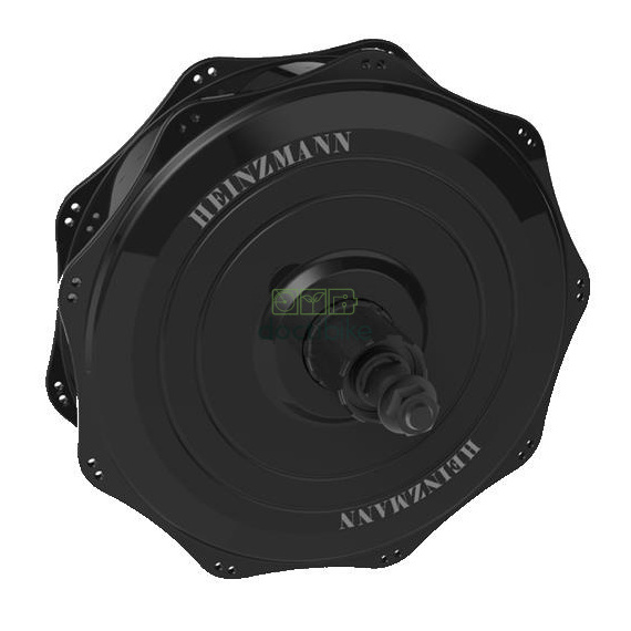 Motor de la rueda trasera Direct Power Heinzmann 500 W