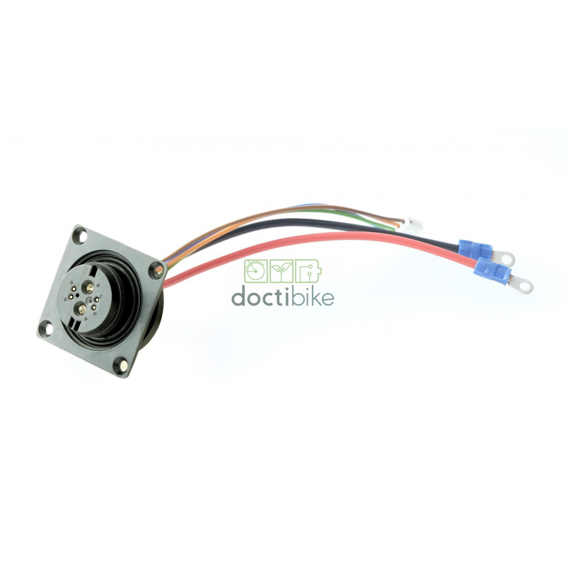 Connecteur HEINZMANN DirectPower RoPD pour systèmes DirectPower