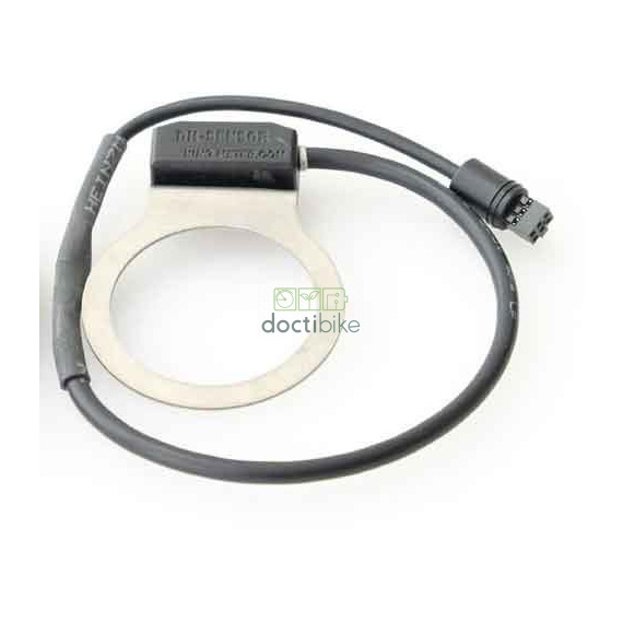 HEINZMANN DirectPower...