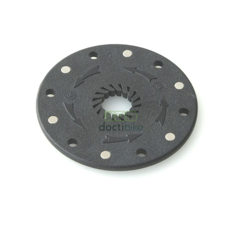 HEINZMANN KingMeter Standard magnetic disk