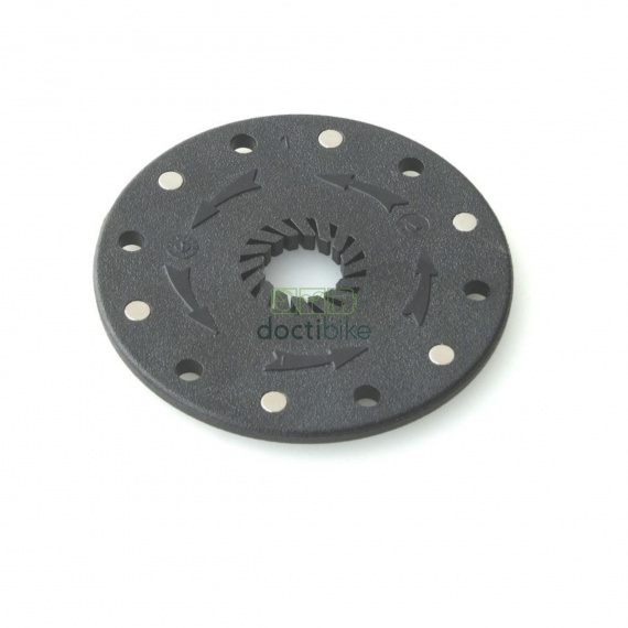 HEINZMANN KingMeter...