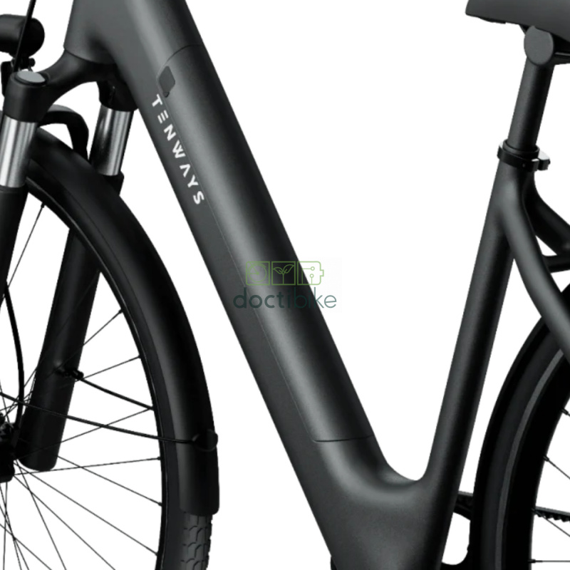 Akku 36V 10.4Ah 374Wh für TENWAYS CGO800S - Midnight Black