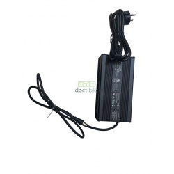 Batteria compatibile con le biciclette RAD POWER - 48V 20Ah (caricabatterie incluso)