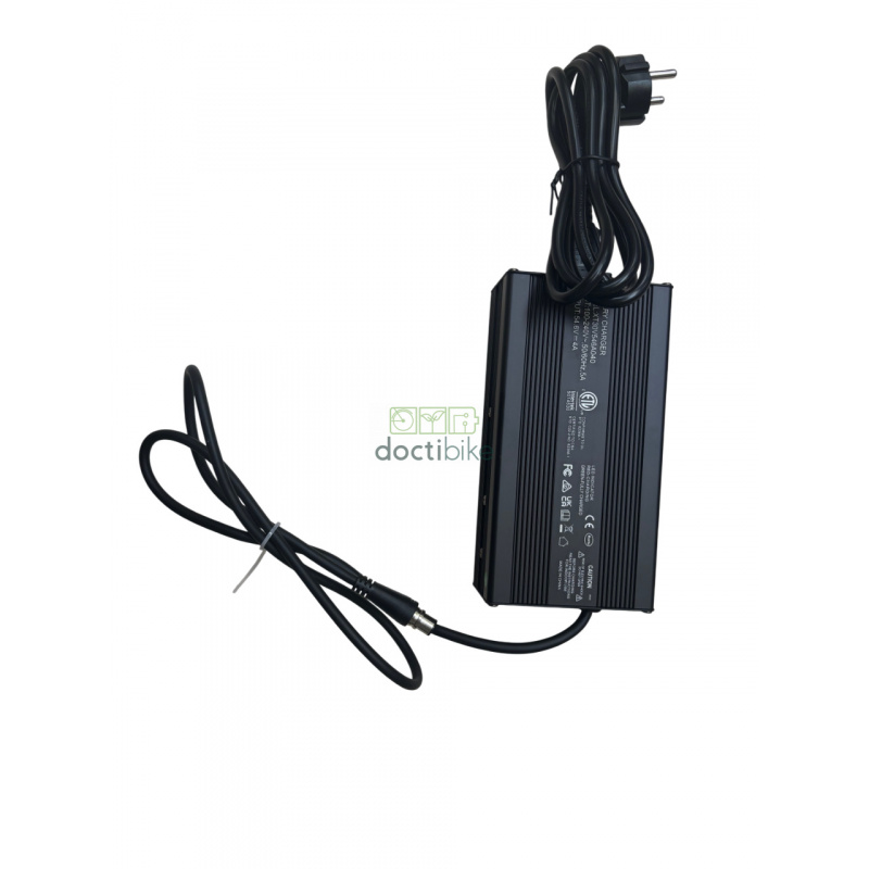 Batterie compatible pour vélo RAD POWER - Chargeur