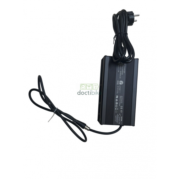 Batterie compatible pour vélo RAD POWER - Chargeur