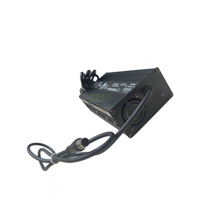 Batterie compatible pour vélo RAD POWER - Embout chargeur
