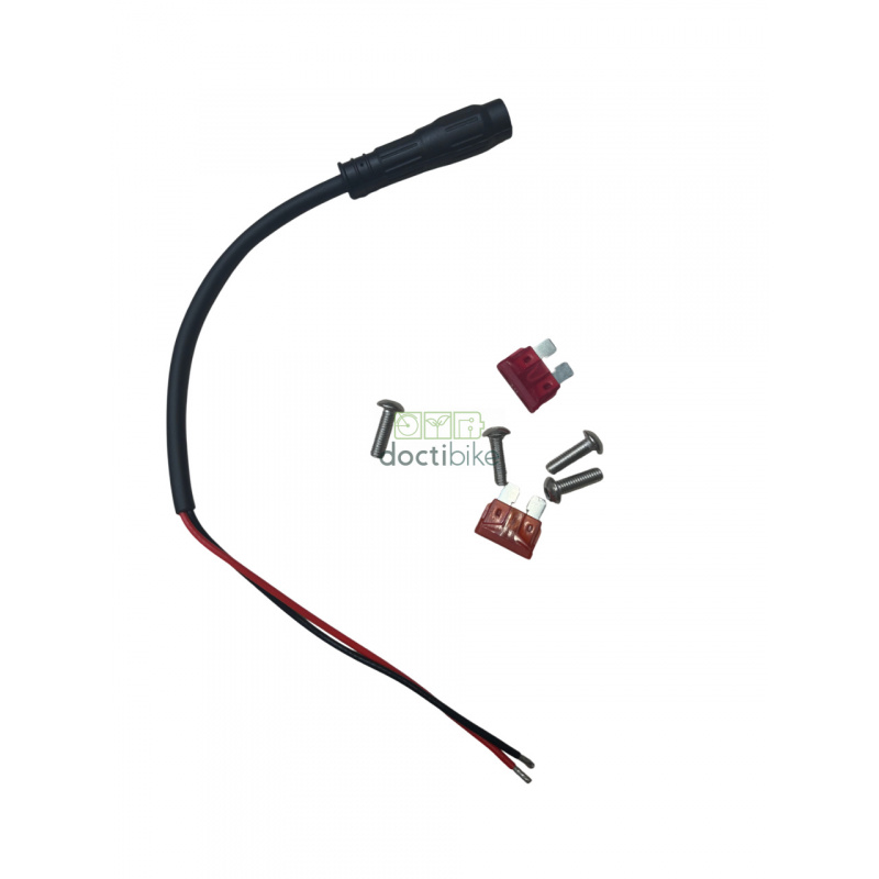 Batteria compatibile con le biciclette RAD POWER - 48V 20Ah (caricabatterie incluso)