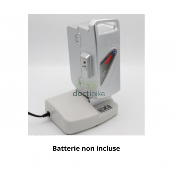 Chargeur Panasonic compatible 26V NKJ048A 29.3V 4Ah