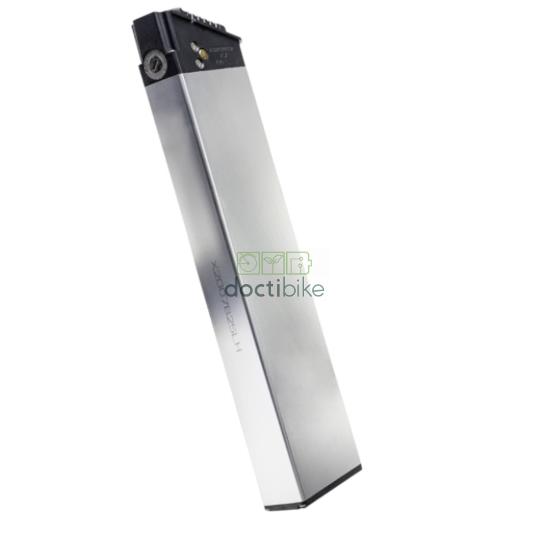 Opknappen Biwbik Traveller 36V accu