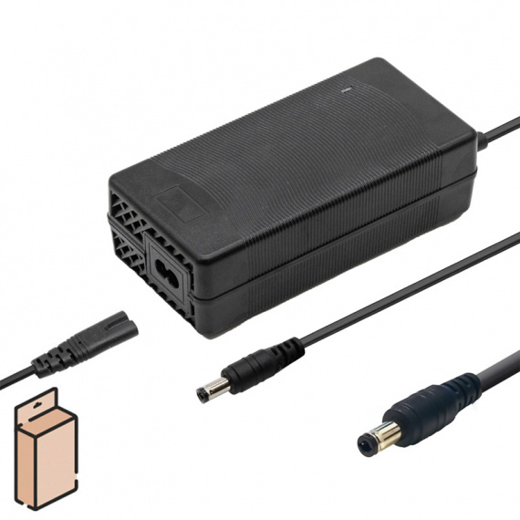 Caricatore DC5525 41,96V 3,17A