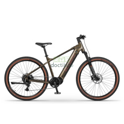 Vélo électrique Ecobike SX 300 Vert - Vue d'ensemble