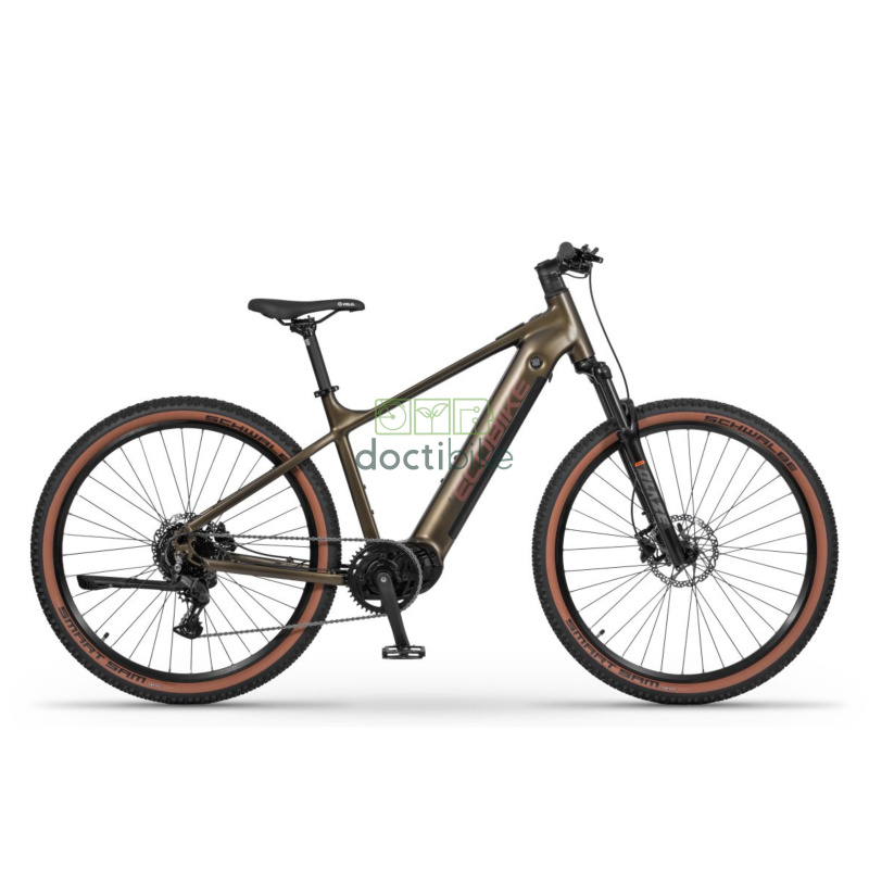 Vélo électrique Ecobike SX 300 Vert - Vue d'ensemble