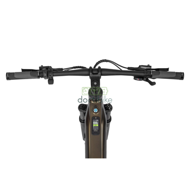 Vélo électrique Ecobike SX 300 Vert - Vue guidon avec display, freins et câbles