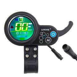 Liviae display 6 Pin acceleration index