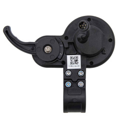Display LIVIAE 6 pin index accélérateur