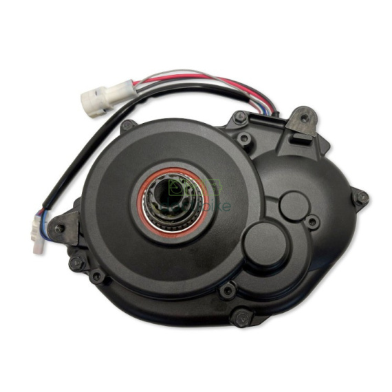 Engine YAMAHA PW Series TE 2019