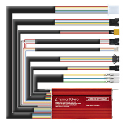 Centralina 48V A e B Smartgyro Crossover Dual Max - Limitata