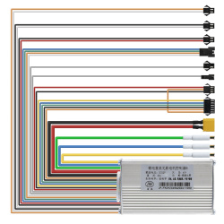 Controller 52V 25A 800W-B LCD JP J&P