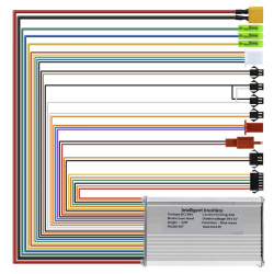 48 V 20A 800W Liviae controller
