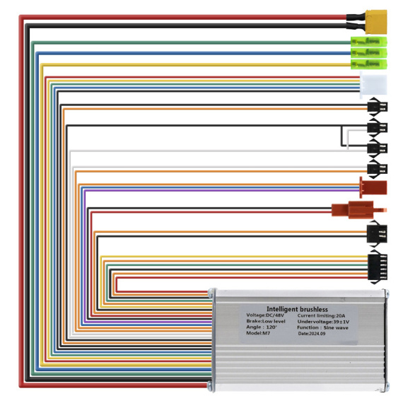 48 V 20A 800W Liviae controller