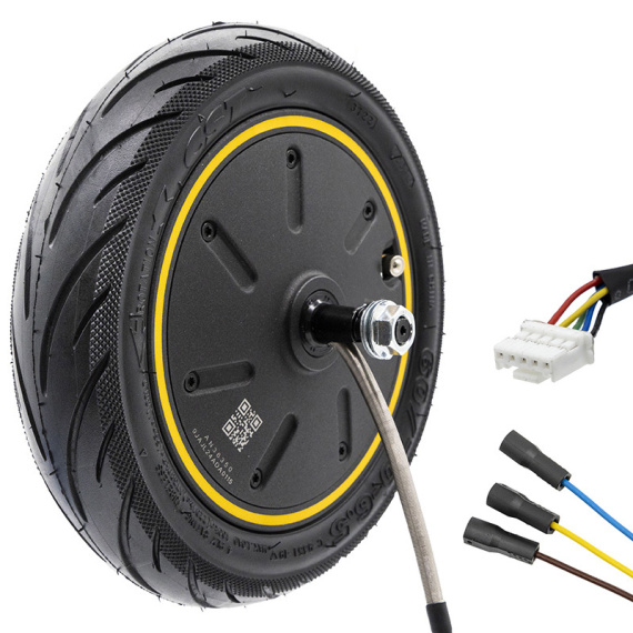 Motore 36V 350W 6,5/B50 Ninebot G30 / G30P [Ninebot]