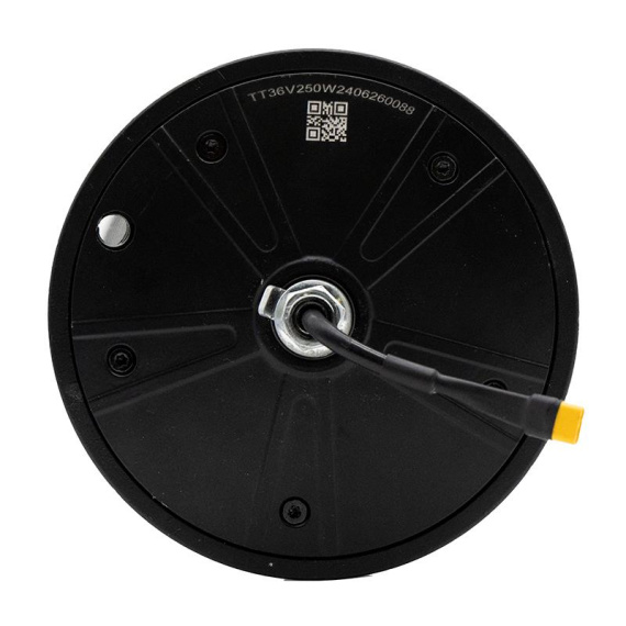36v 250W motor original Wispeed T850