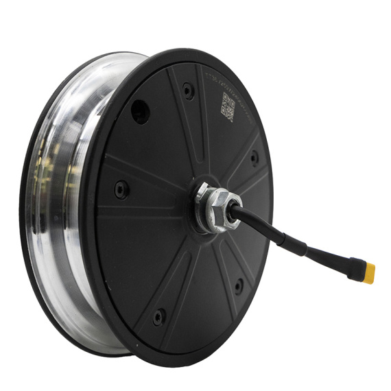 Motore 36v 250W originale Wispeed T850