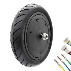 36V 300W 6.1/B34 motor voor Cotec
