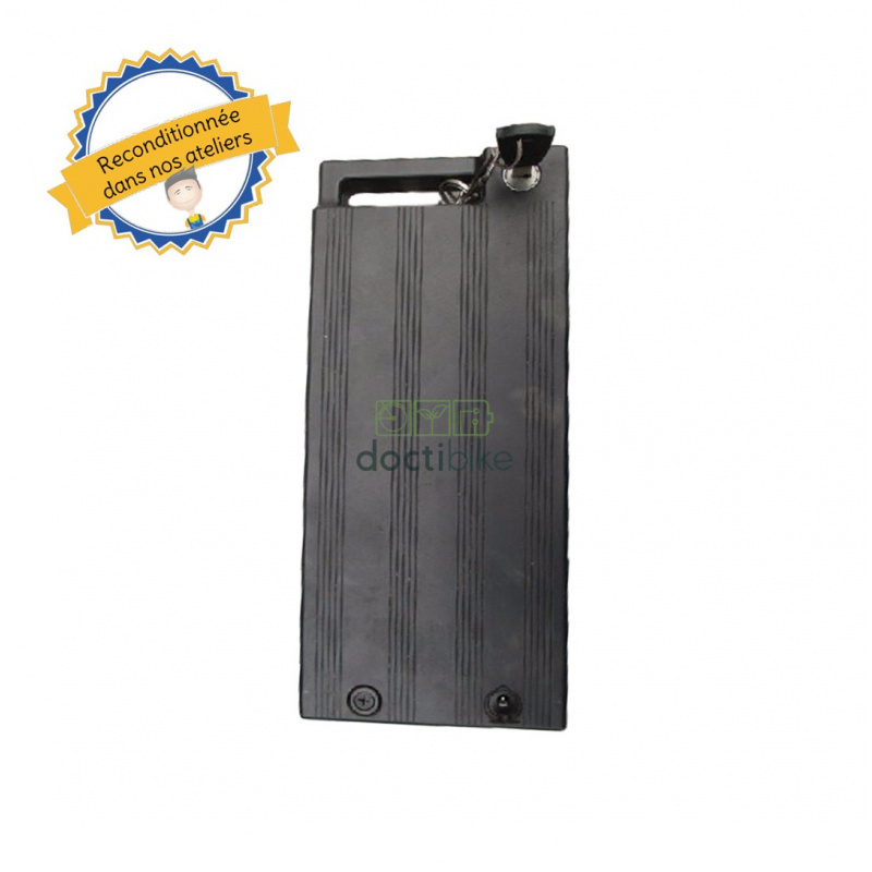 ÜBERHOLUNG DER THORBIKE-BATTERIE 24V-10A