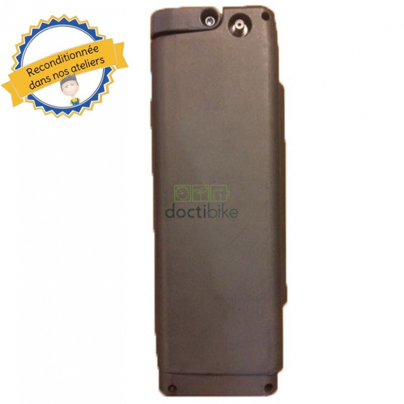 RECONDITIONING STAR-EKO 36V BATTERY