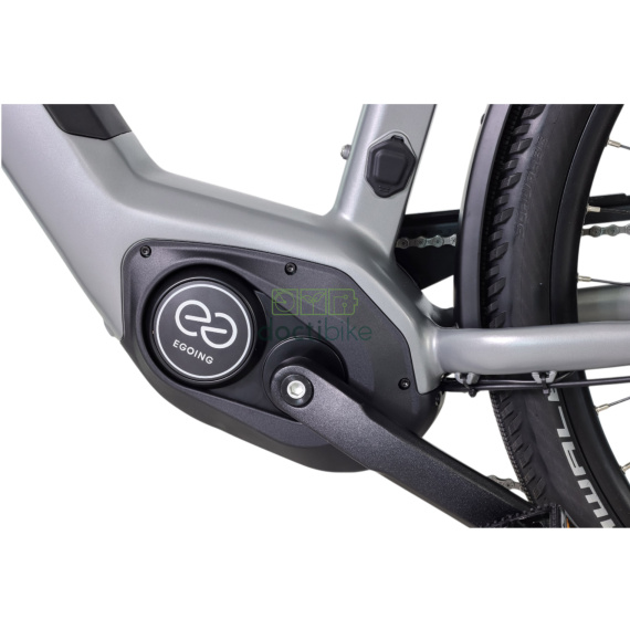 Motor a pedales - Central - E-Going - Ananda M80 36V 250W 60Nm - Reacondicionado