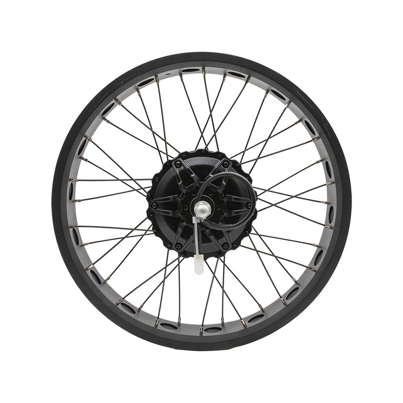 Jante arrière 20x4,0 avec moteur 250W 80Nm COMMANDO/NAVY