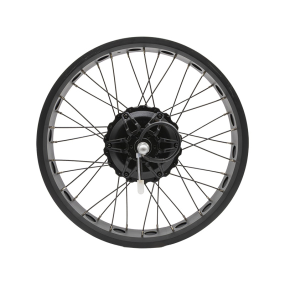 Cerchio posteriore 20x4,0 con motore 250W 80Nm COMMANDO/NAVY