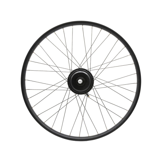 Achterwiel 29x2,4 met motor van 250 W en 42 Nm, ROKTAR/ZEPHIR
