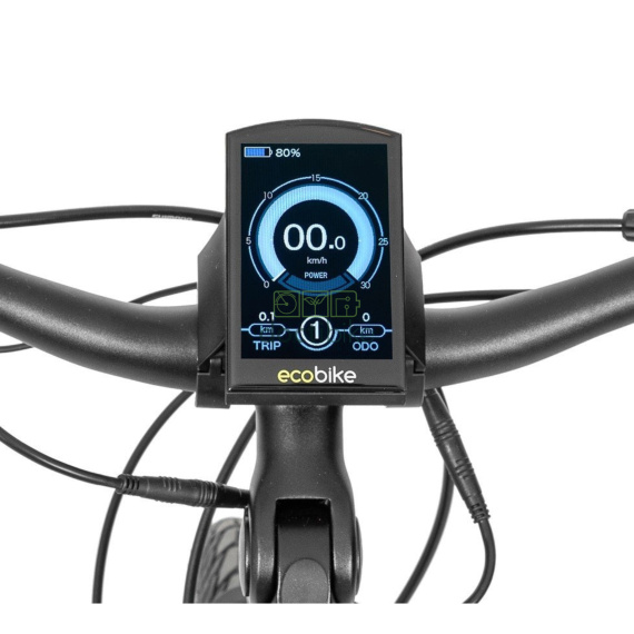 Display Ecobike C900E 36V/48V LCD