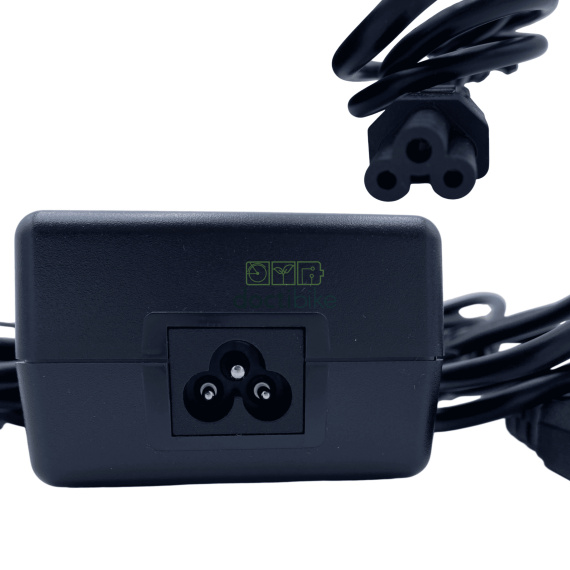 Caricabatteria da 36 V con Can Bus per DT12 e SR20