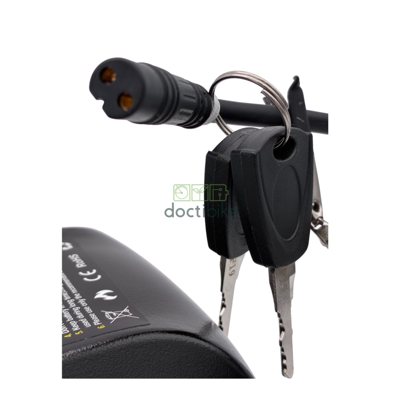 Compatibele fietsaccu RAD POWER - 48 V 20 Ah (inclusief oplader)