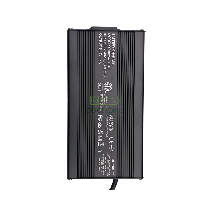 Batteria compatibile per bicicletta RAD POWER - 48 V 20 Ah (caricabatterie incluso)