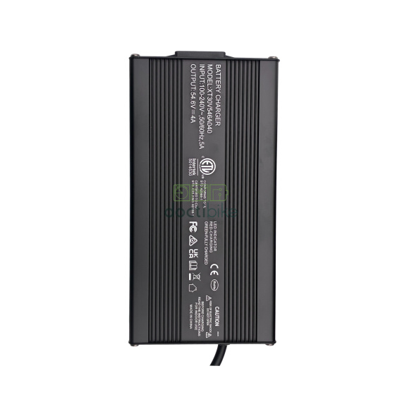 Batería compatible para bicicleta RAD POWER - 48 V, 20 Ah (cargador incluido)